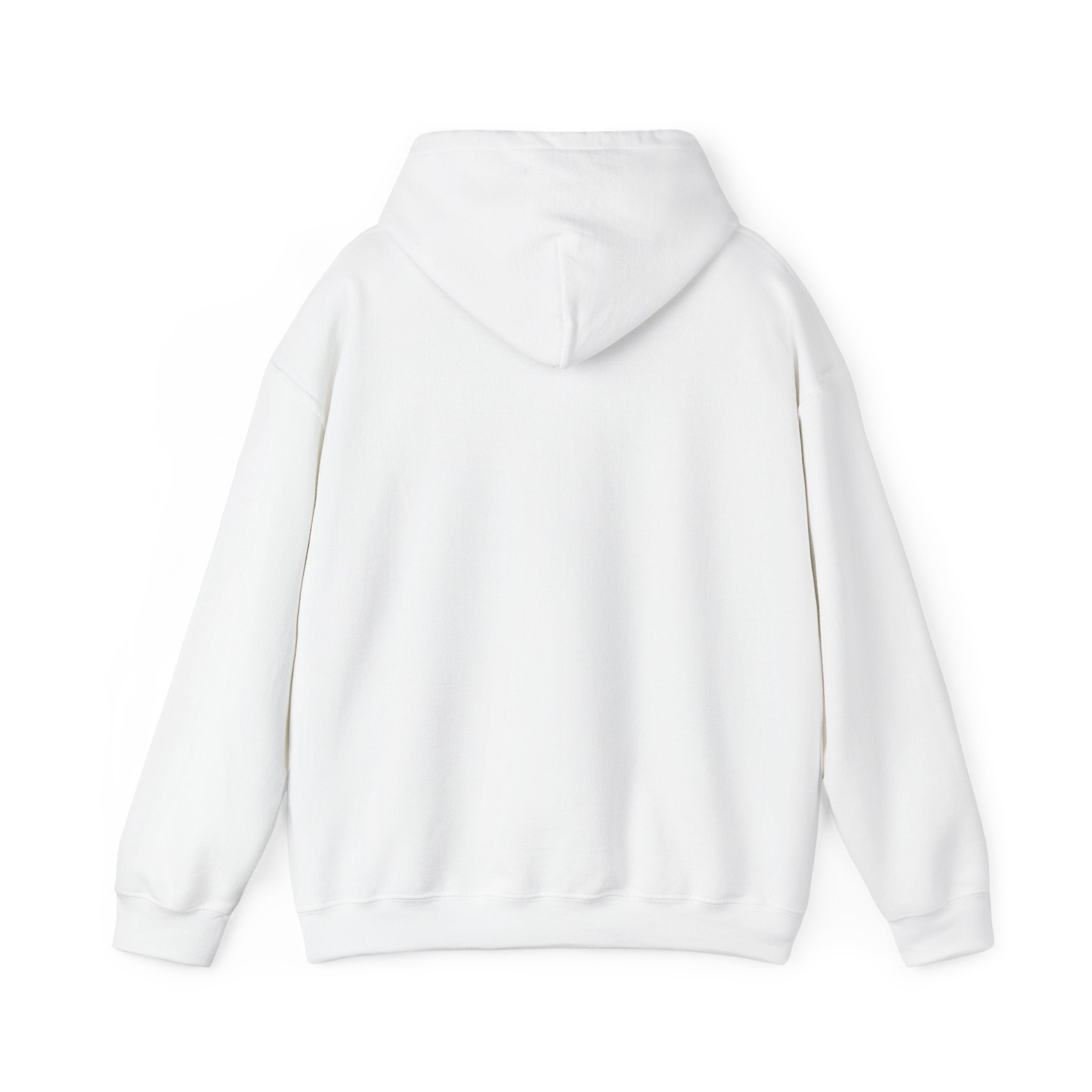 This Could've Been an Email Hoodie | meeting meme, office humor