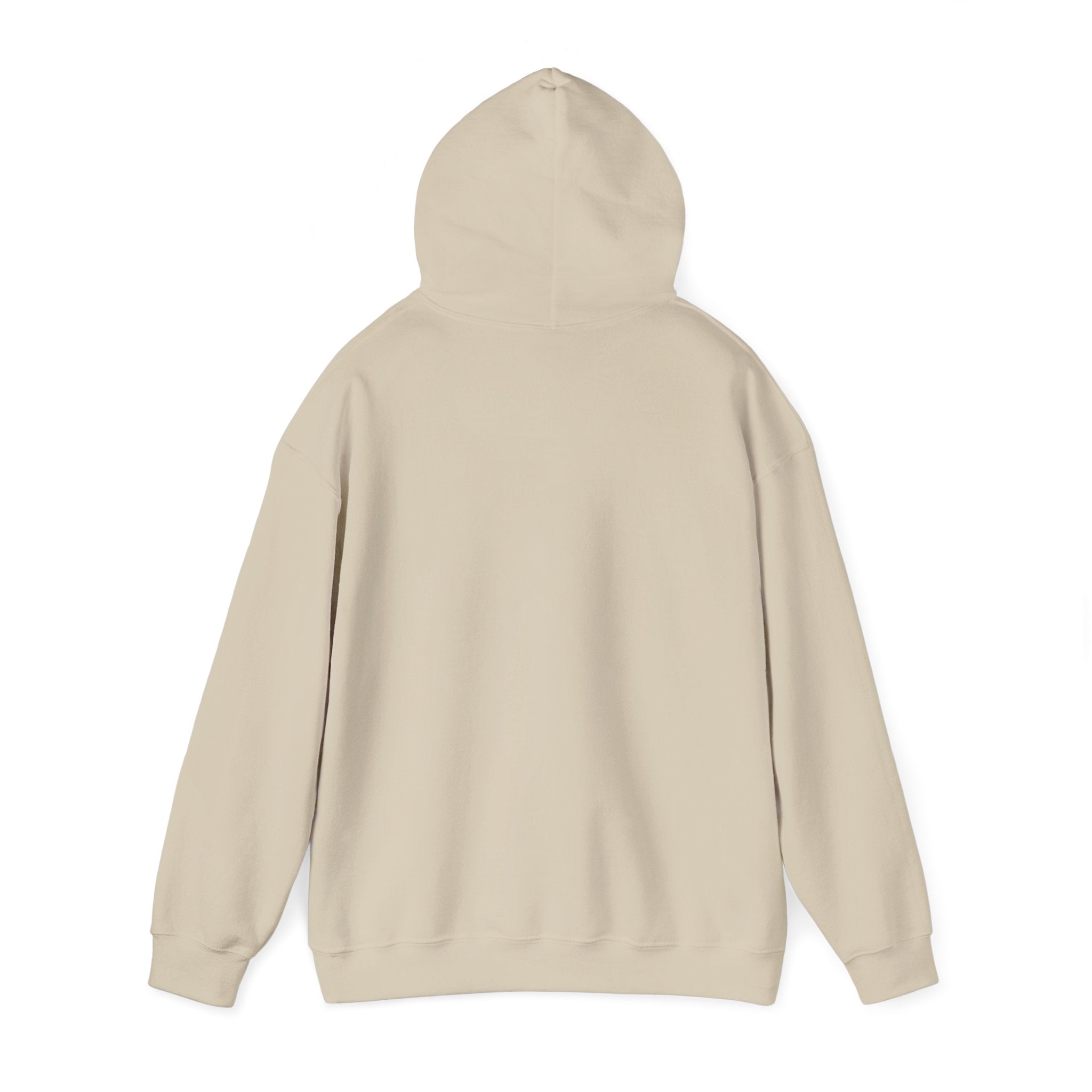 This Could've Been an Email Hoodie | meeting meme, office humor