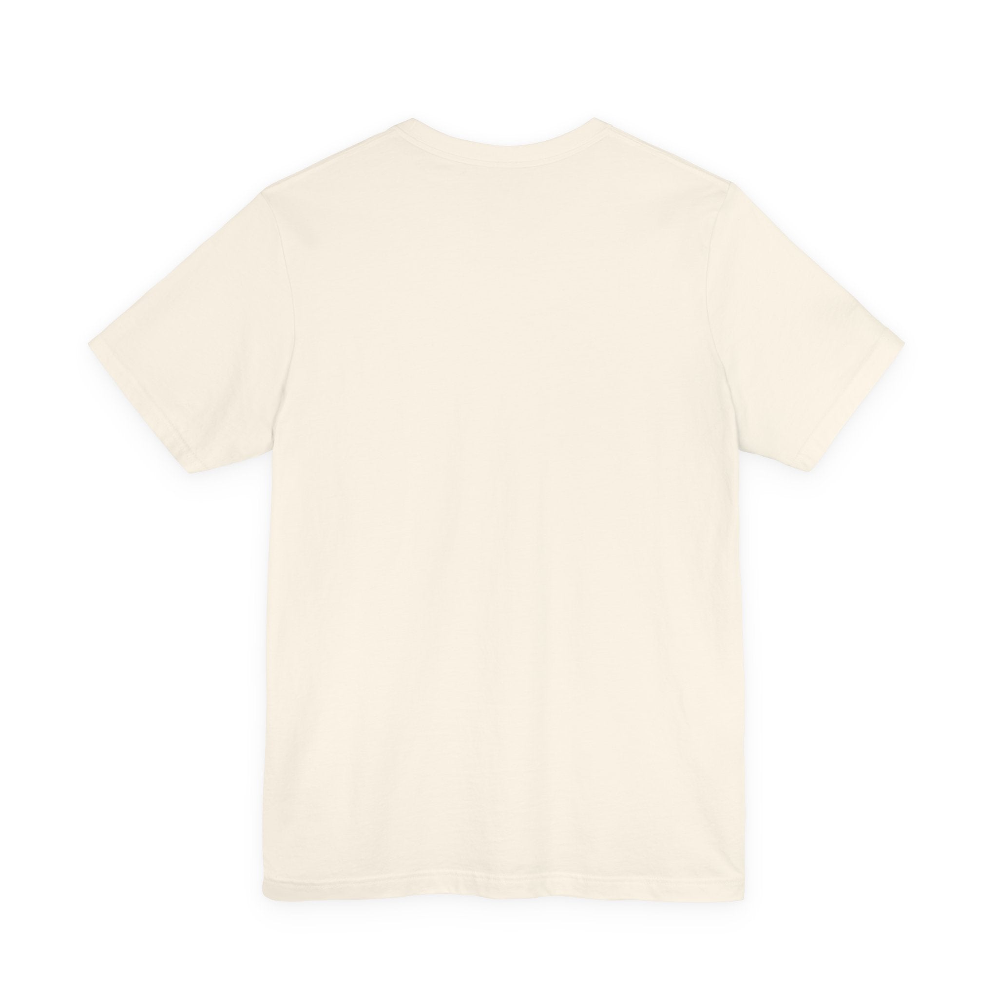 This Could've Been an Email Tee | meeting meme t-shirt, office humor
