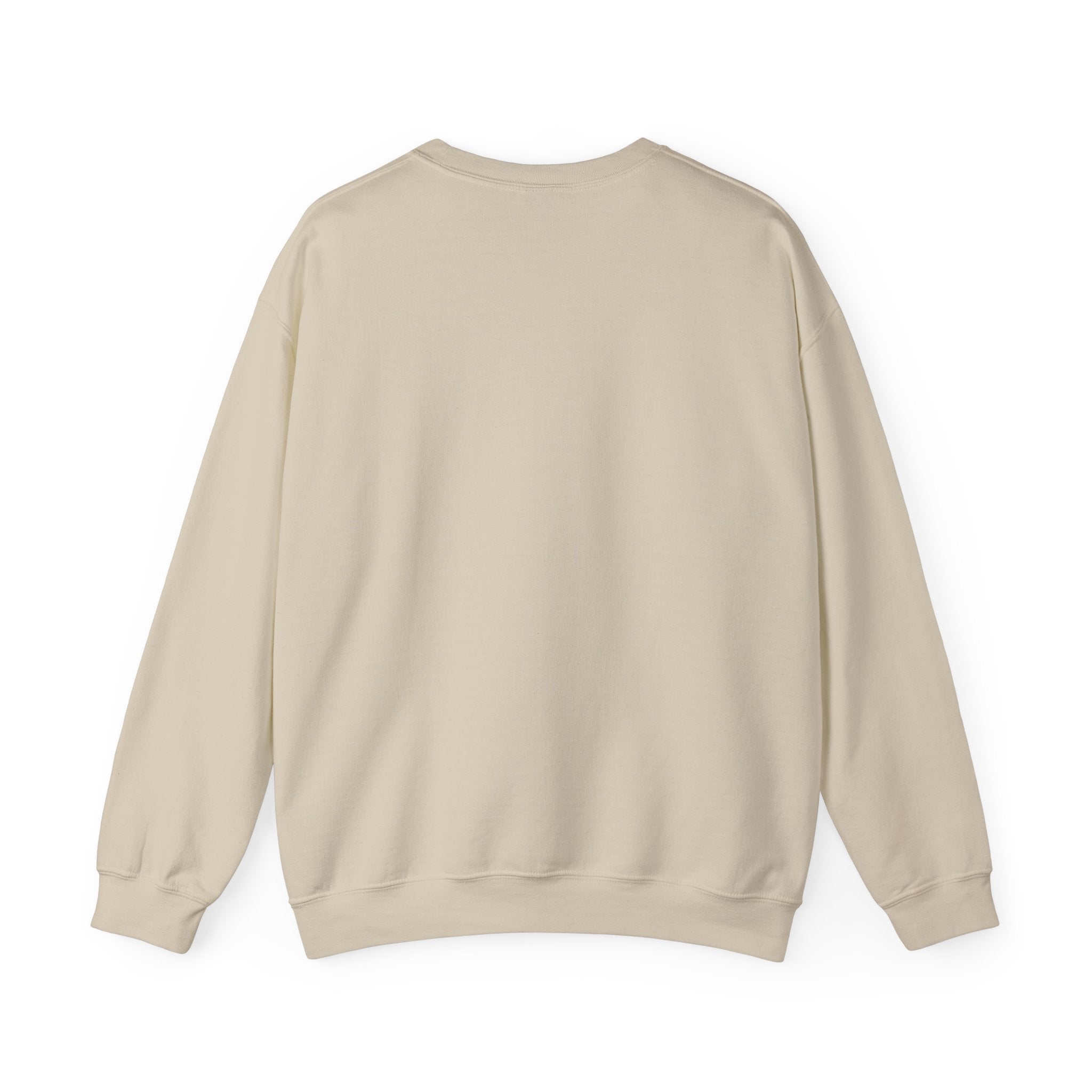 This Could've Been an Email Sweatshirt | Meeting Humor, Office Meme