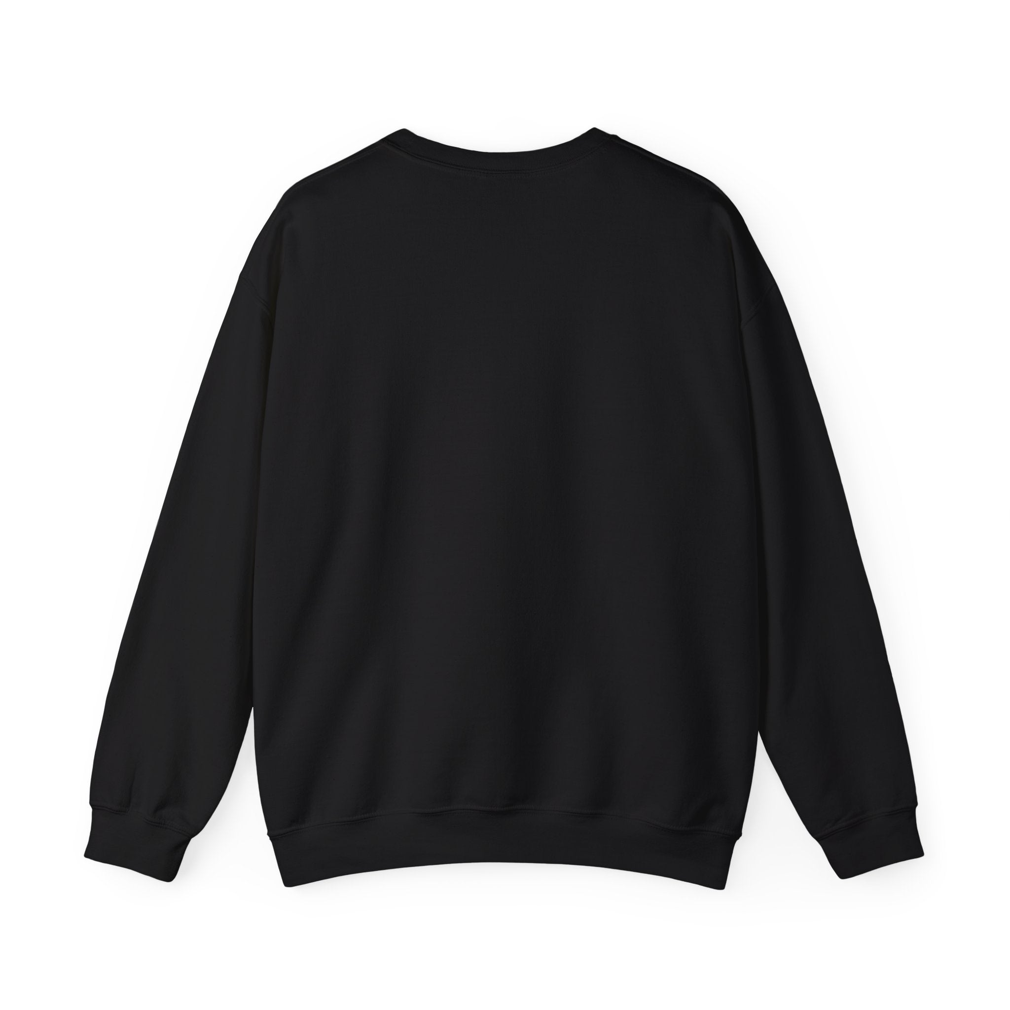 This Could've Been an Email Sweatshirt | Meeting Humor, Office Meme