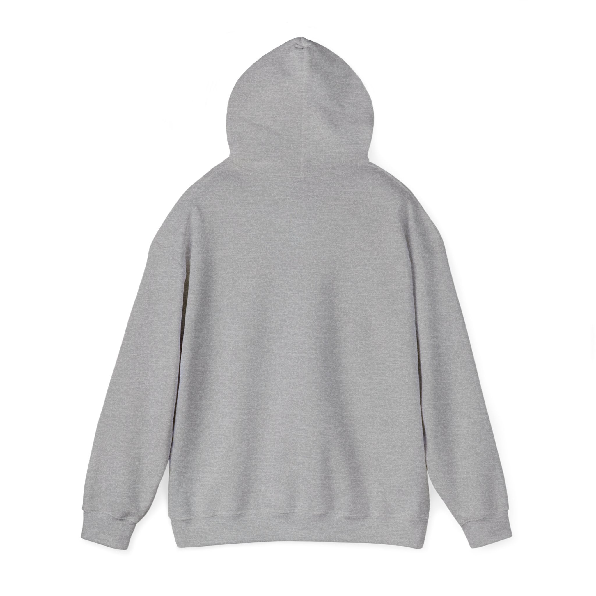 This Could've Been an Email Hoodie | meeting meme, office humor